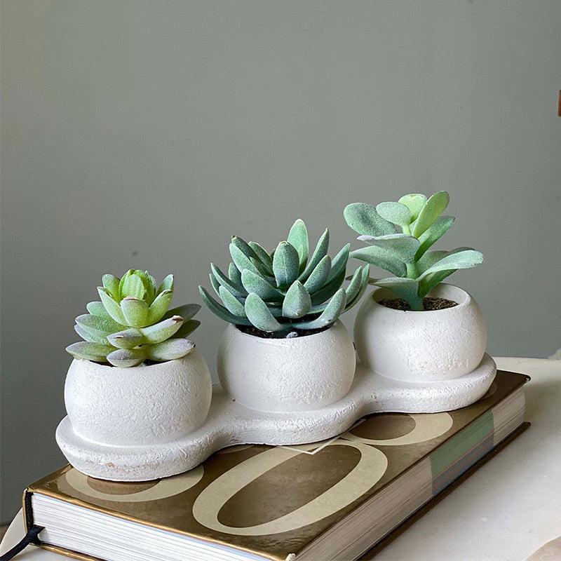 Buy Faux Realtouch Green Trio Succulent Artificial Plants from Vaaree