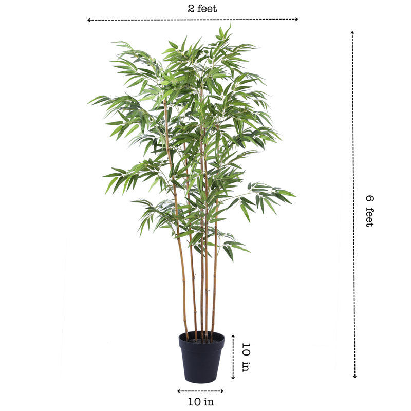 Buy Faux Realistic Bamboo Plant With Pot - 5.9 Feet Artificial Plants from Vaaree