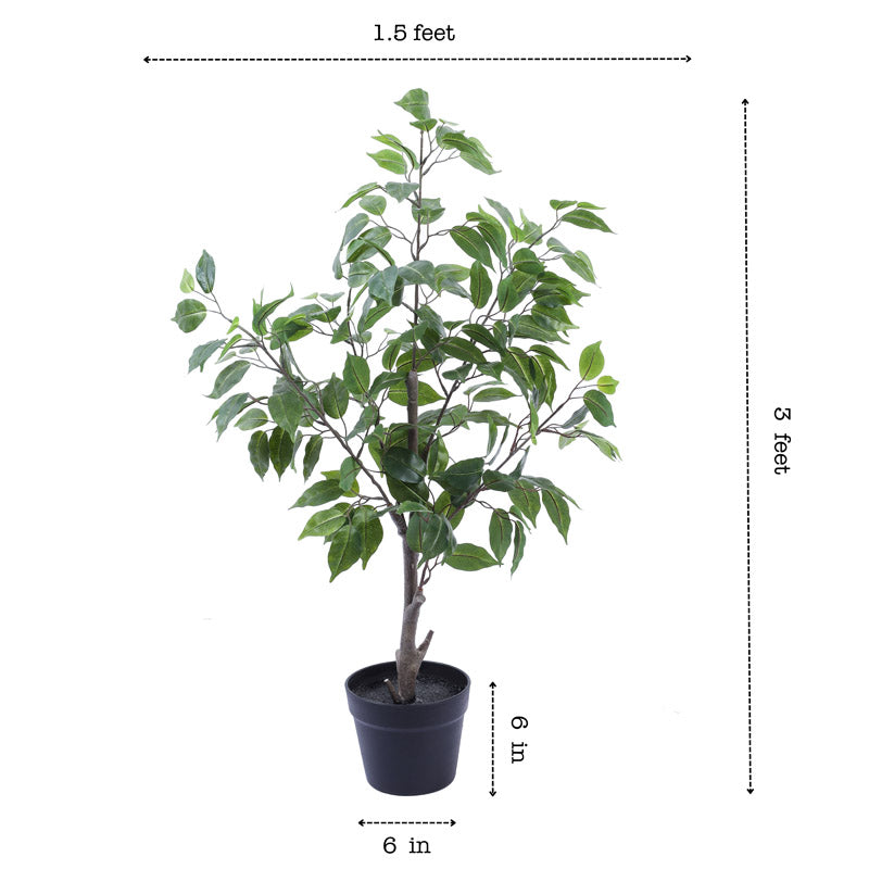 Buy Faux Realistic Ficus Plant With Pot - 3 Feet Artificial Plants from Vaaree