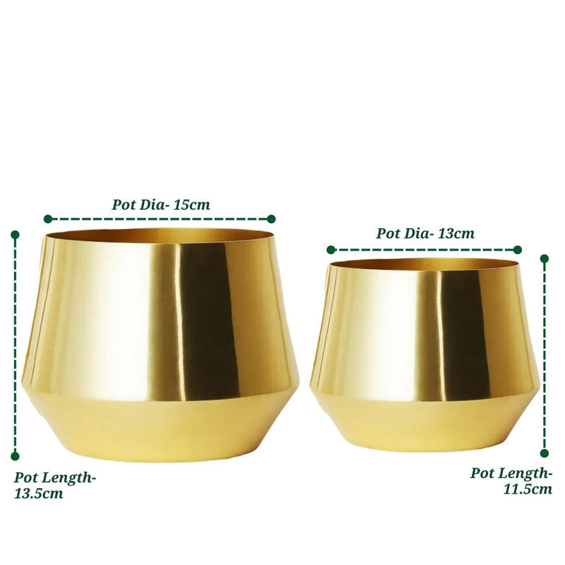 Buy Arrota Gold Planter - Set Of Two Pots & Planters from Vaaree