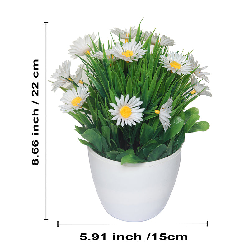 Buy Faux White Daisy Plant With Pot - Set Of Two Artificial Plants from Vaaree