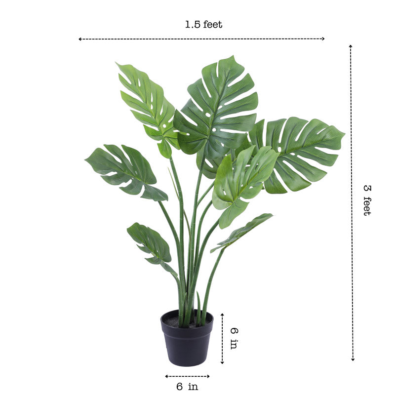 Buy Faux Realistic Monstera Plant With Pot - 3 Feet Artificial Plants from Vaaree