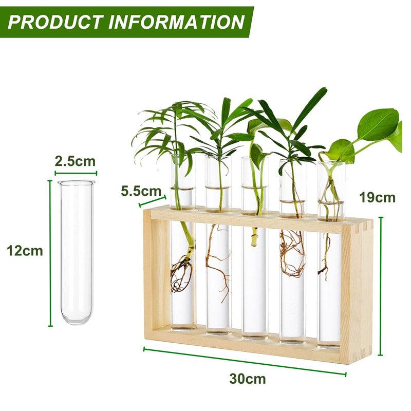 Buy Ana Test Tube Planter - Set Of Four Pots & Planters from Vaaree