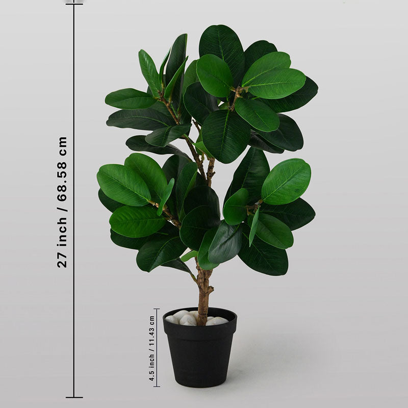 Buy Faux Everlasting Fig Plant With Pot - 2.3 Feet Artificial Plants from Vaaree