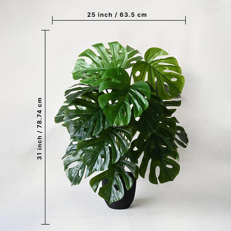 Buy Faux Everlasting Monstera Plant With Pot - 2.6 Feet Artificial Plants from Vaaree