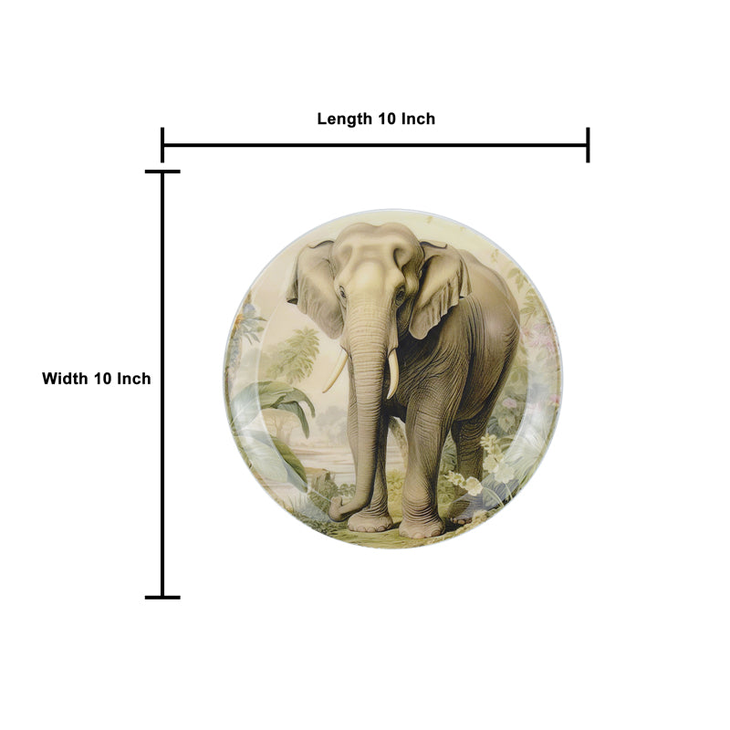 Buy Wild Tusker Wall Plate Wall Plates from Vaaree