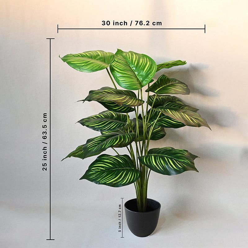 Buy Faux Everlasting Monstera Plant With Pot - 2.5 Feet Artificial Plants from Vaaree