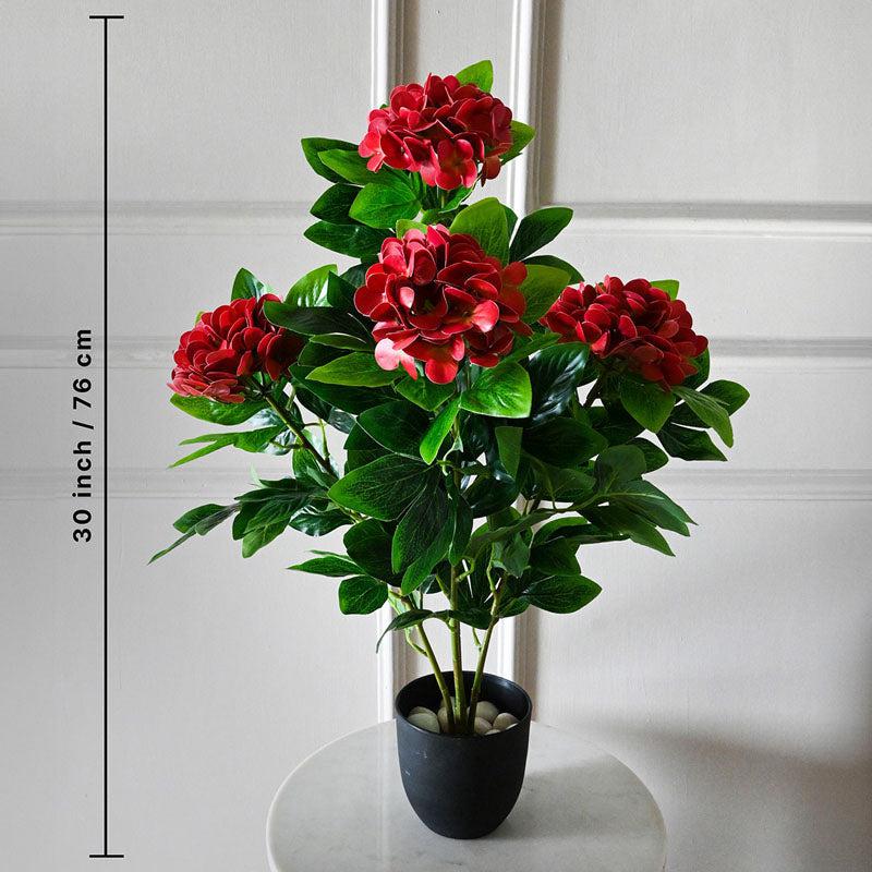 Buy Faux Everlasting Hydrangea Plant With Pot (Dark Red) - 2.5 Feet Artificial Plants from Vaaree