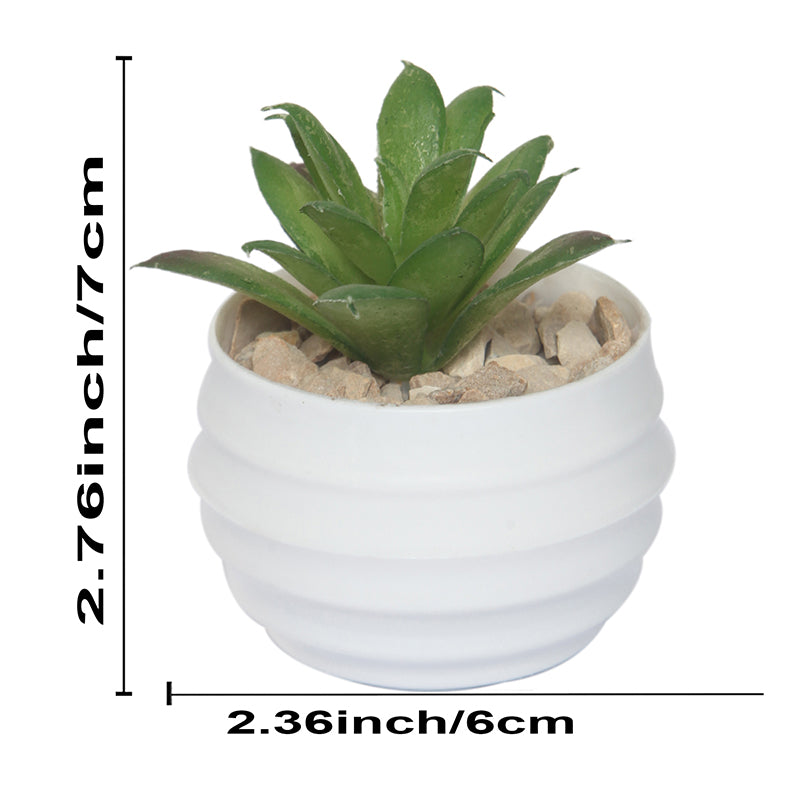 Buy Faux Moonglow Succulent With Pot Artificial Plants from Vaaree