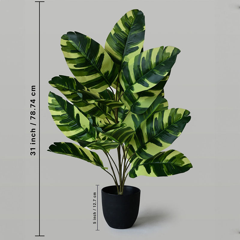 Buy Faux Everlasting Calathea zebrina Plant With Pot - 2.6 Feet Artificial Plants from Vaaree