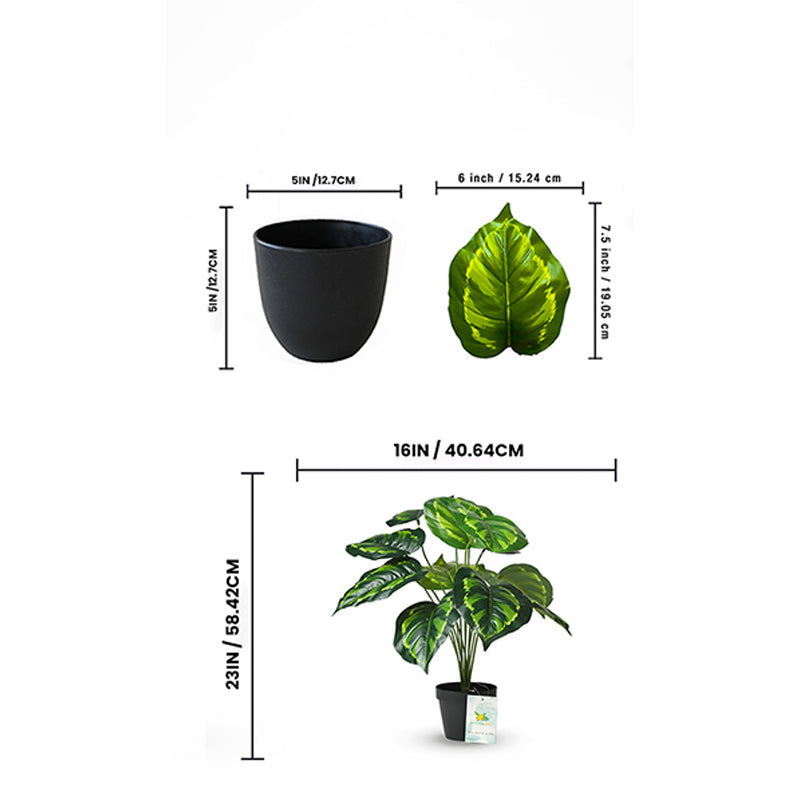 Buy Faux Everlasting Birkin Philodendron Plant With Pot - 58 Cms Artificial Plants from Vaaree