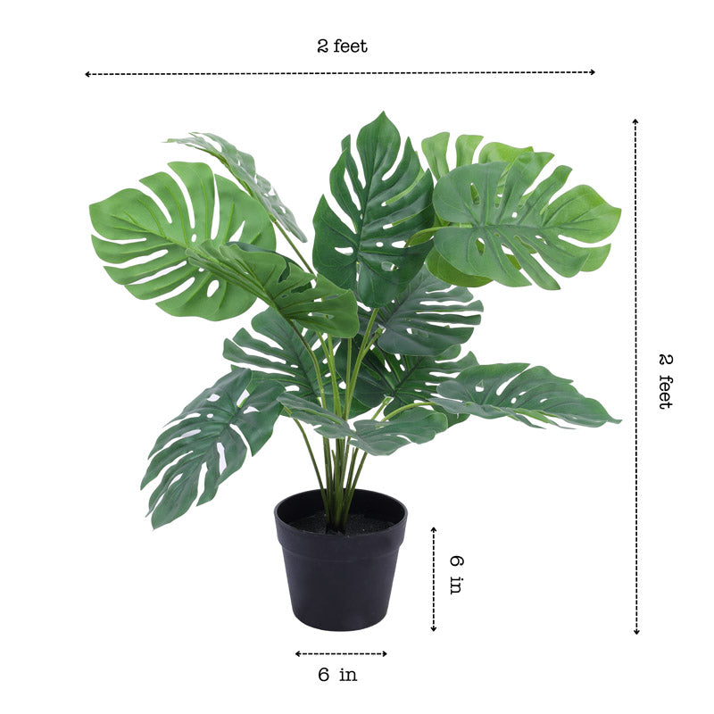 Buy Faux Realistic Monstera With Pot- Green Artificial Plants from Vaaree