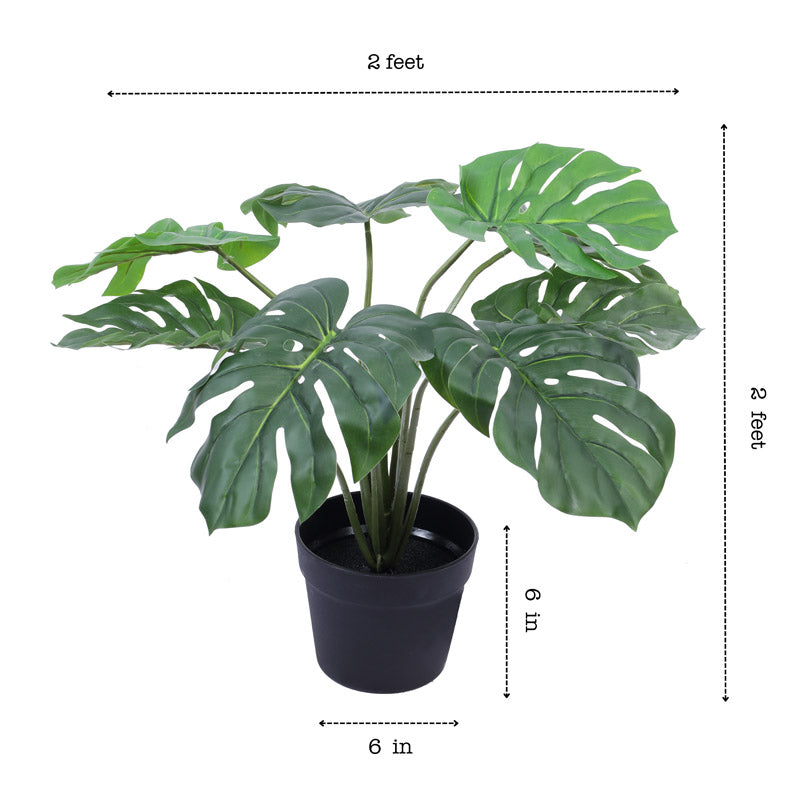 Buy Faux Realistic Monstera Plant in Black Pot Artificial Plants from Vaaree