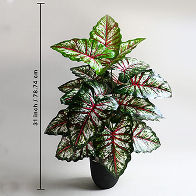 Buy Faux Tropical Caladium Plant With Pot - 2.6 Feet Artificial Plants from Vaaree