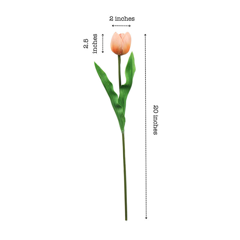 Buy Faux Realistic Tulip Flower Stick (Beige) - Set Of Five Artificial Flowers from Vaaree