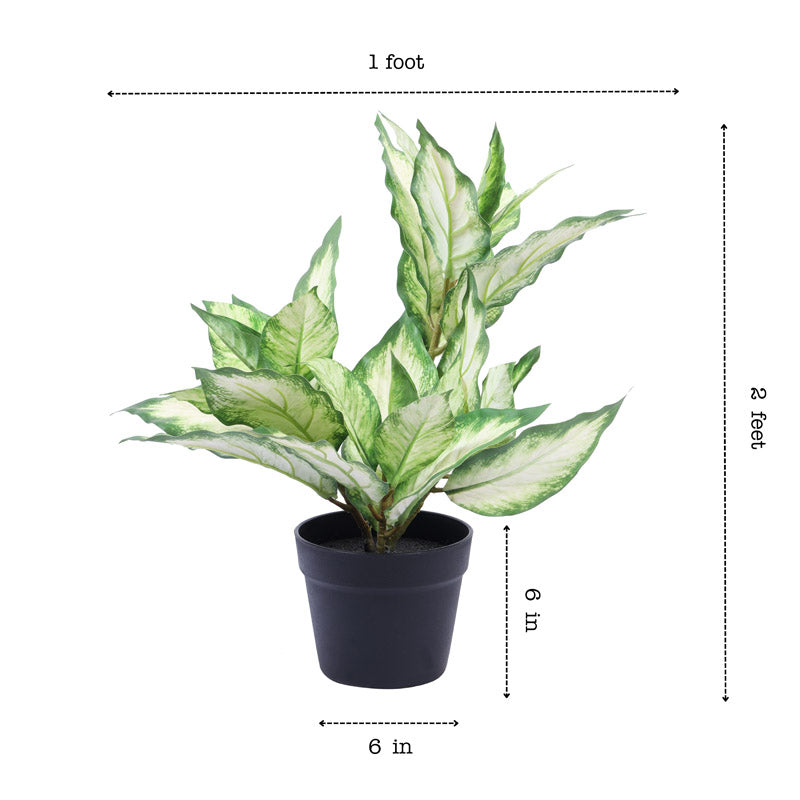 Buy Faux Realistic Variegated Dieffenbachia With Pot - Green Artificial Plants from Vaaree