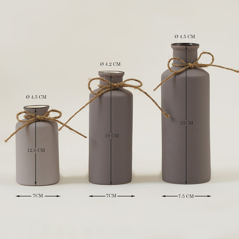 Buy Alnira Bottle Vase (Grey) - Set Of Three Vase from Vaaree