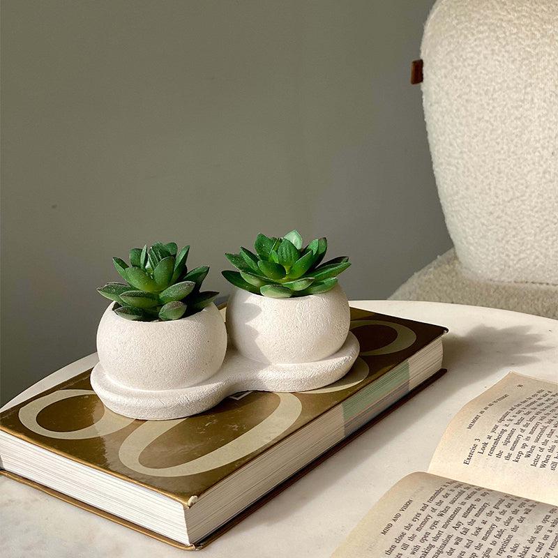 Buy Faux Green Twin Succulent Artificial Plants from Vaaree