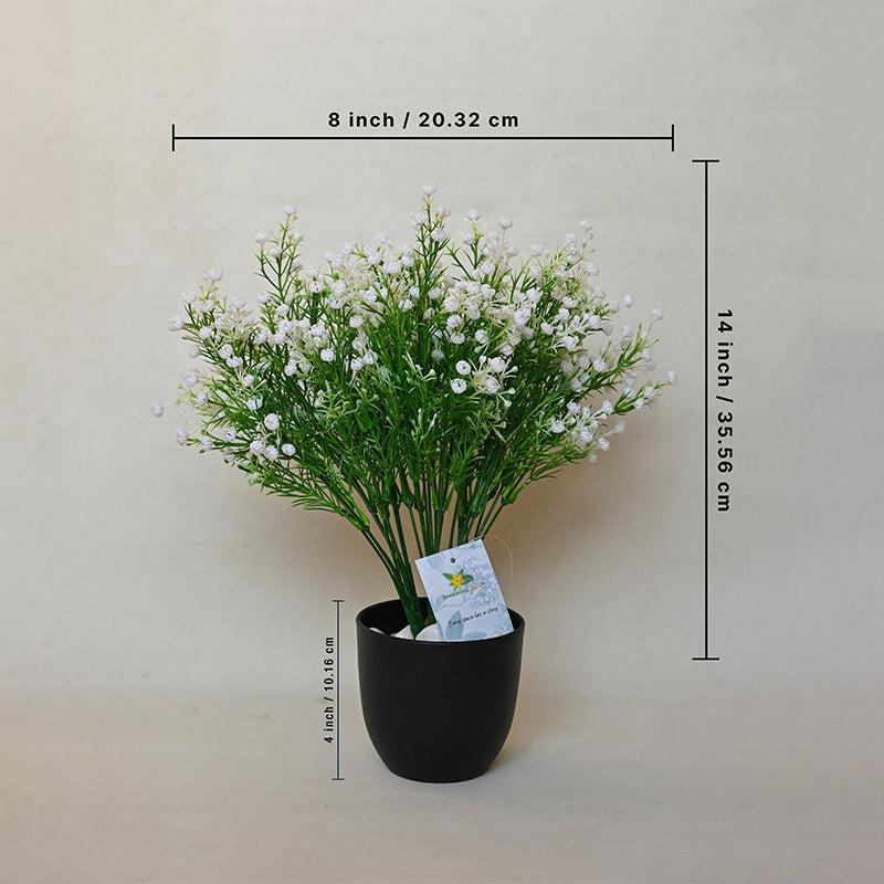 Buy Faux Everlasting Baby Breath Flower Stick (White) - Set of Three Artificial Flowers from Vaaree