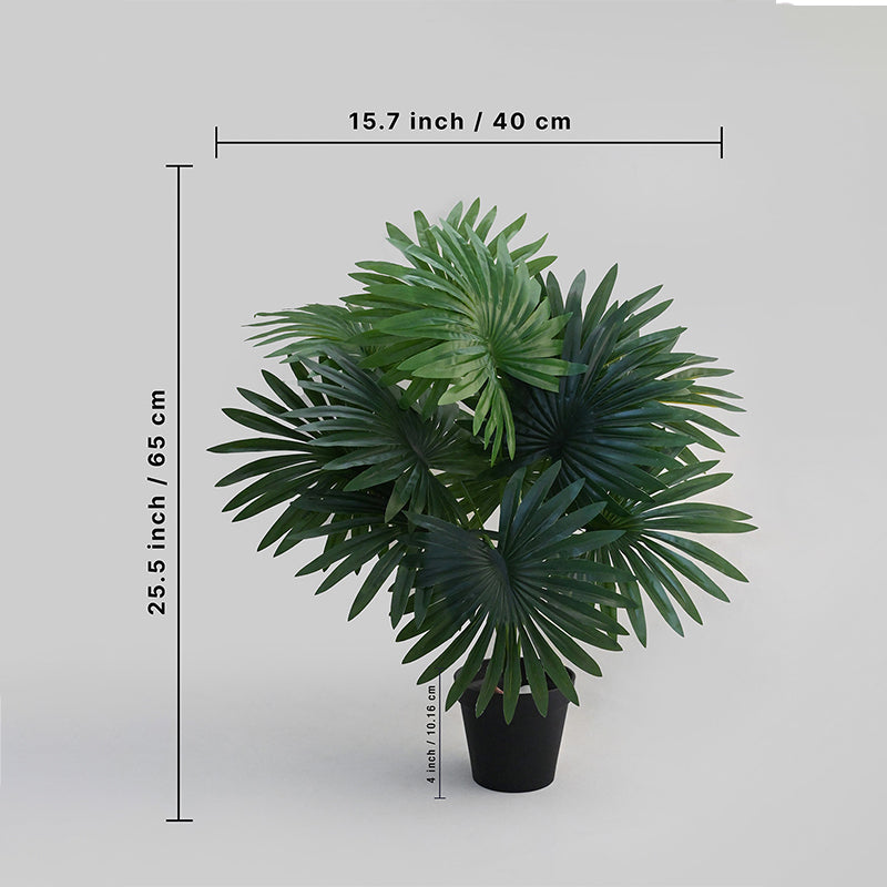 Buy Faux Everlasting Palm Plant With Pot - 2.2 Feet Artificial Plants from Vaaree