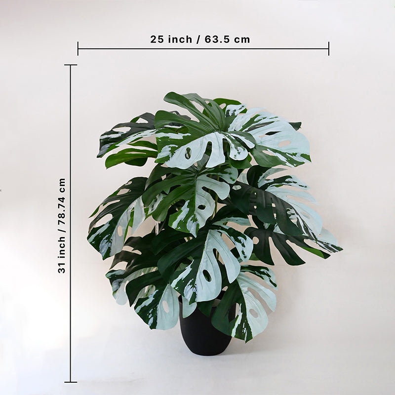 Buy Faux Everlasting Monstera Plant With Pot - 2.6 Feet Artificial Plants from Vaaree