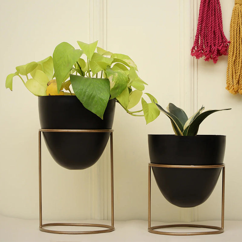 Buy Gina Planter With Stand - Set Of Two Pots & Planters from Vaaree