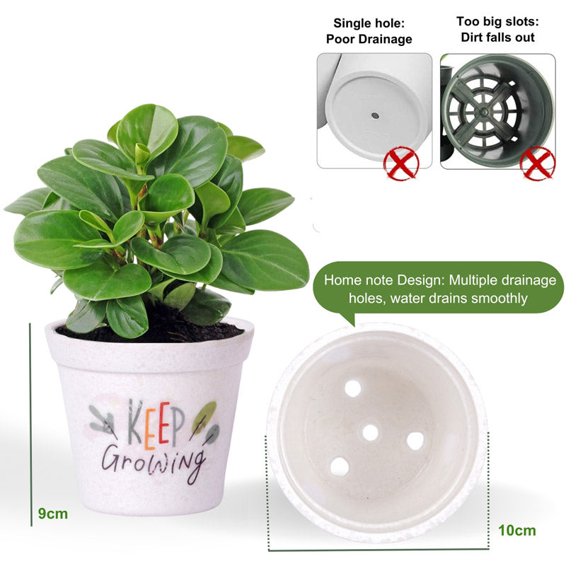 Buy Keep Growing White Planter Pots & Planters from Vaaree