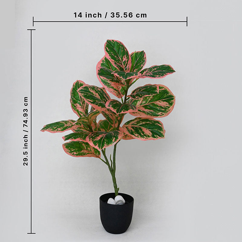 Buy Faux Everlasting Aglaonema Creta Plant With Pot - 2.5 Feet Artificial Plants from Vaaree