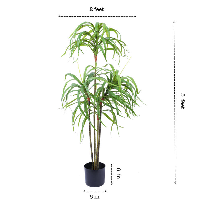 Buy Faux Realistic Dracaena Plant With Pot - 4.9 Feet Artificial Plants from Vaaree