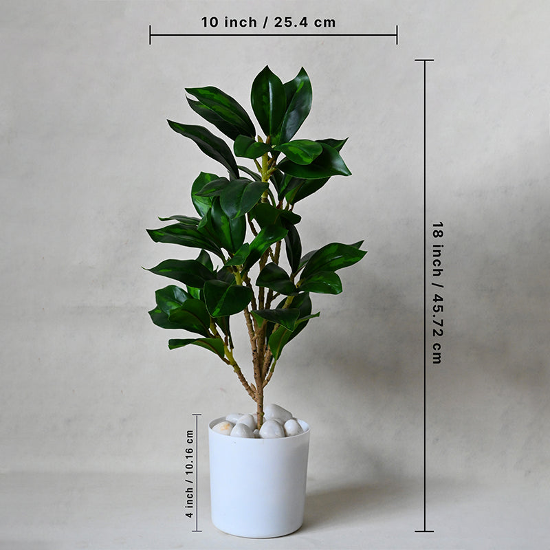 Buy Faux Everlasting ZZ Plant With Pot - 46 Cms Artificial Plants from Vaaree