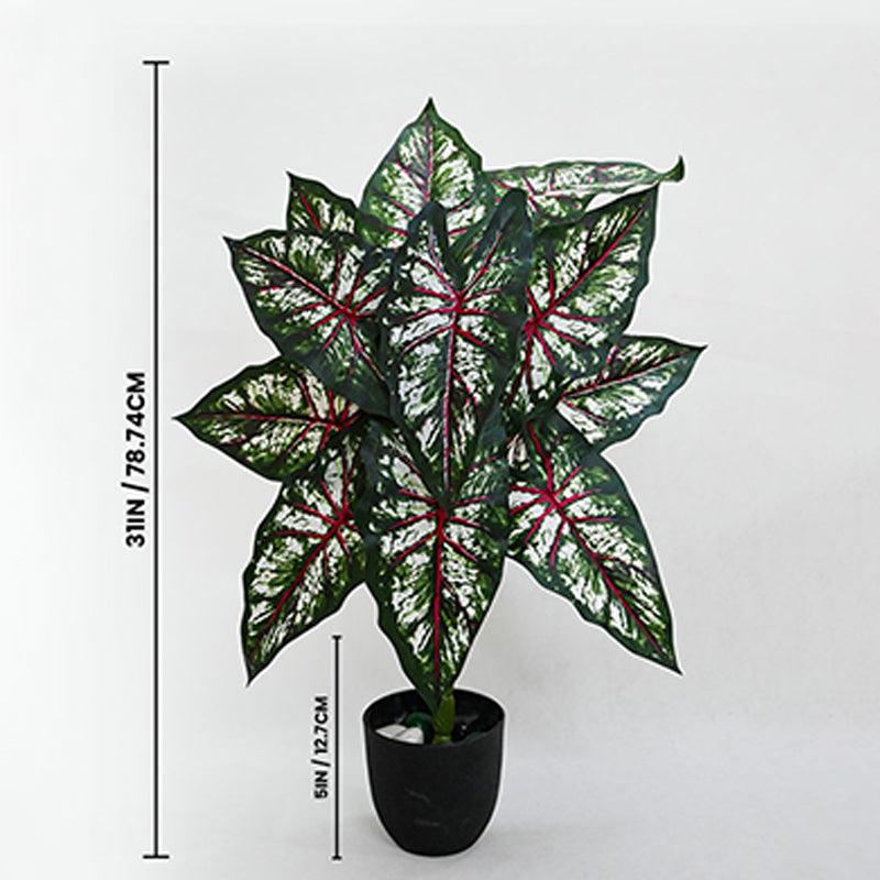 Buy Faux Everlasting Tropical Caladium Plant With Pot - 2.6 Feet Artificial Plants from Vaaree