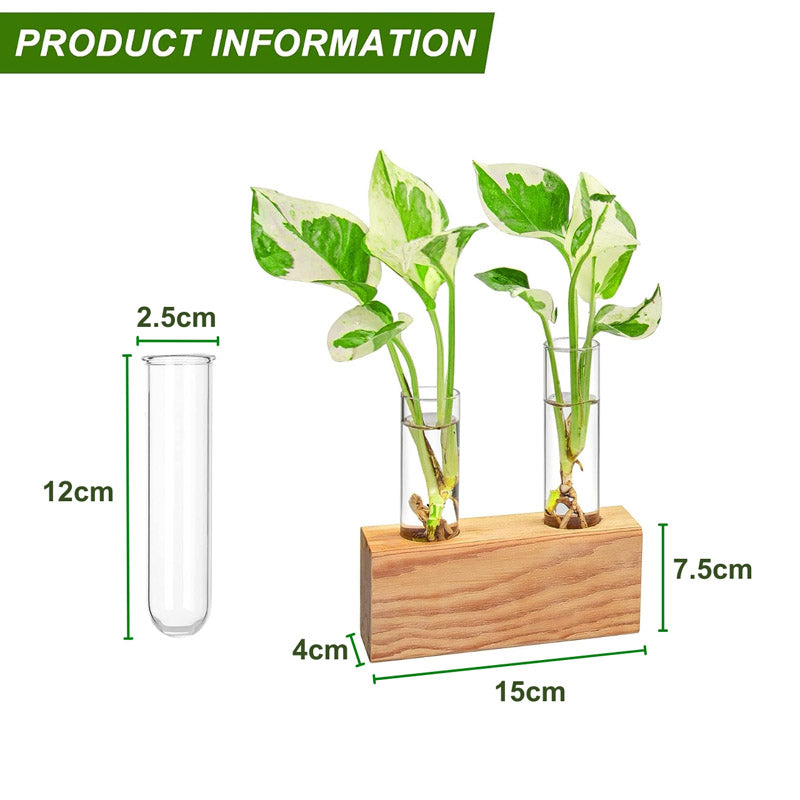 Buy Izar Test Tube Planter - Set Of Two Pots & Planters from Vaaree