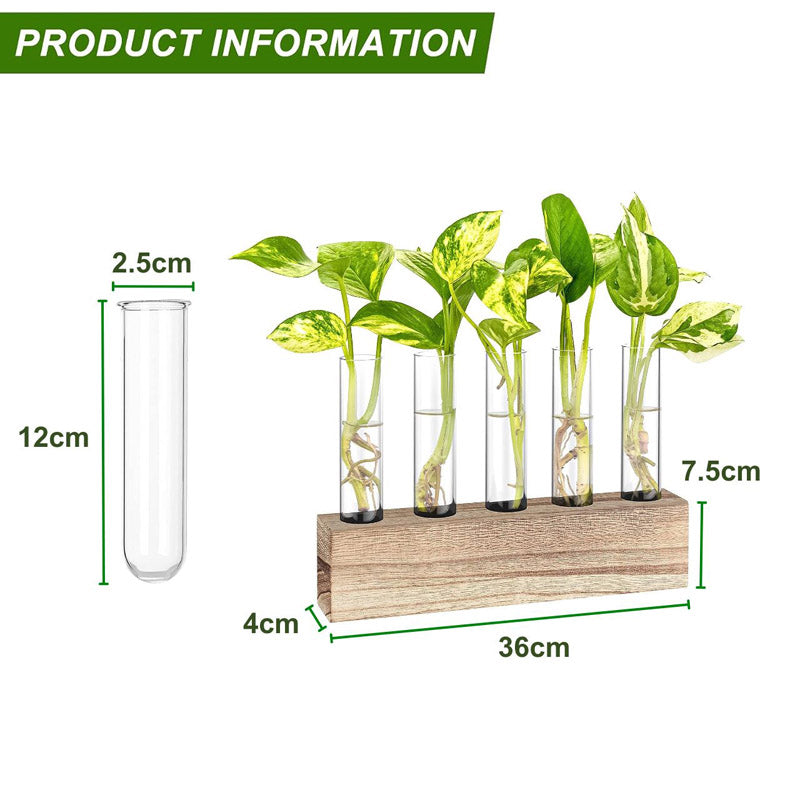 Buy Izar Test Tube Planter - Set Of Five Pots & Planters from Vaaree