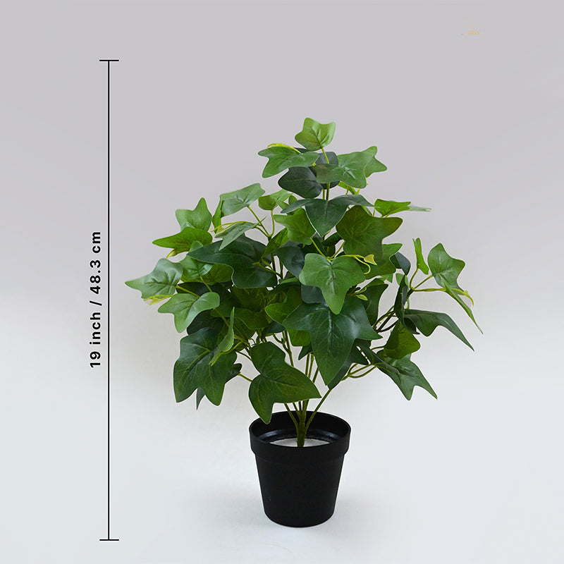 Buy Faux Everlasting Japanese Ivy Plant With Pot - 48 Cms Artificial Plants from Vaaree