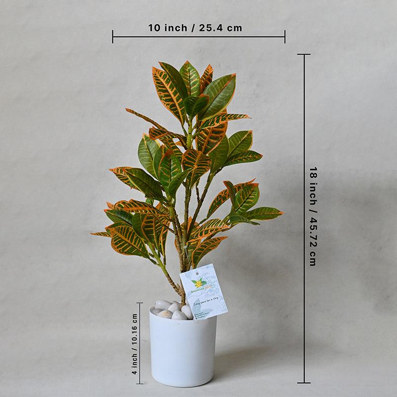 Buy Faux Everlasting Croton Plant With Pot - 46 Cms Artificial Plants from Vaaree