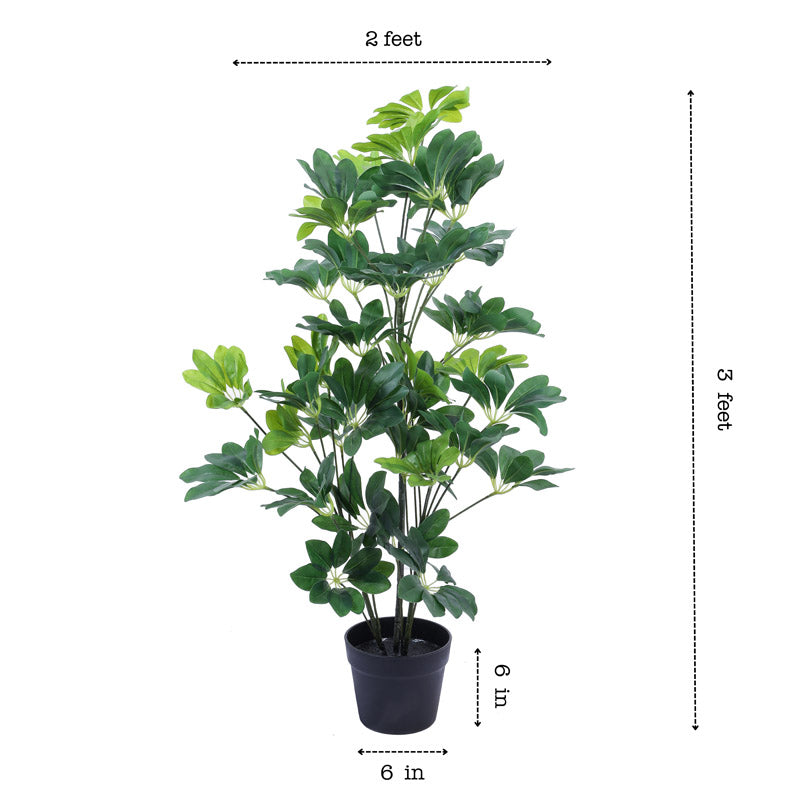 Buy Faux Realistic Schefflera Plant With Pot - 3 Feet Artificial Plants from Vaaree