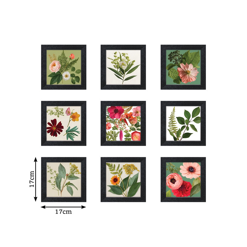 Buy Gardenia Hue Wall Art - Set Of Nine Wall Art & Paintings from Vaaree