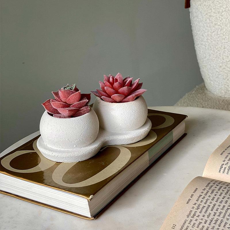 Buy Faux Red Twin Succulent Artificial Plants from Vaaree