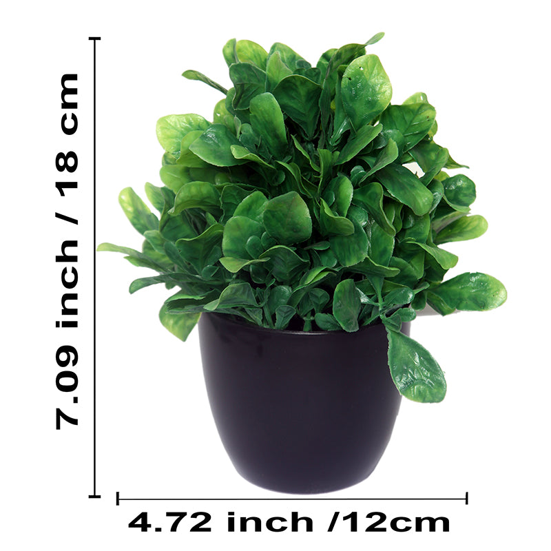 Buy Faux Shamrock Leaf Plant With Pot - Set Of Two Artificial Plants from Vaaree