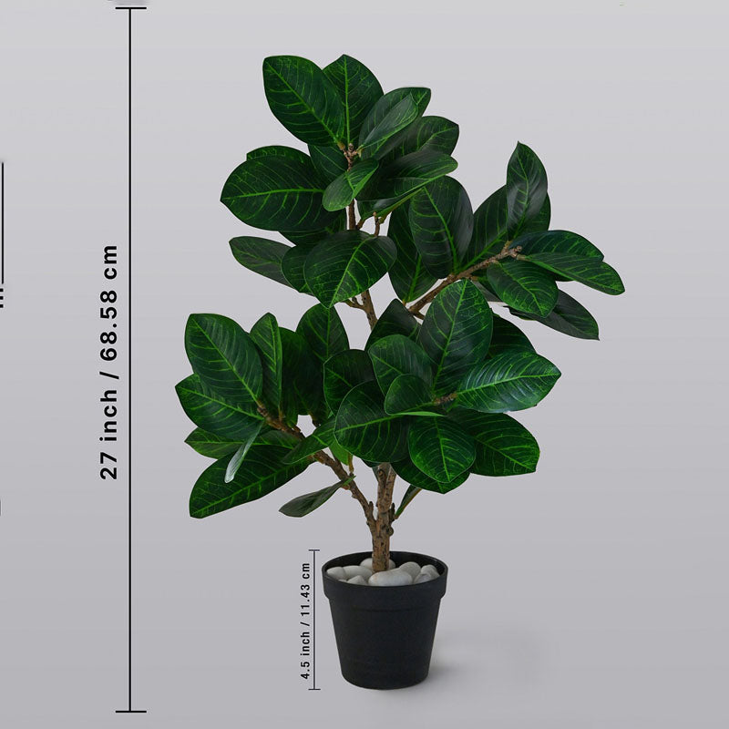 Buy Faux Evergreen Fig Plant With Pot - 2.3 Feet Artificial Plants from Vaaree