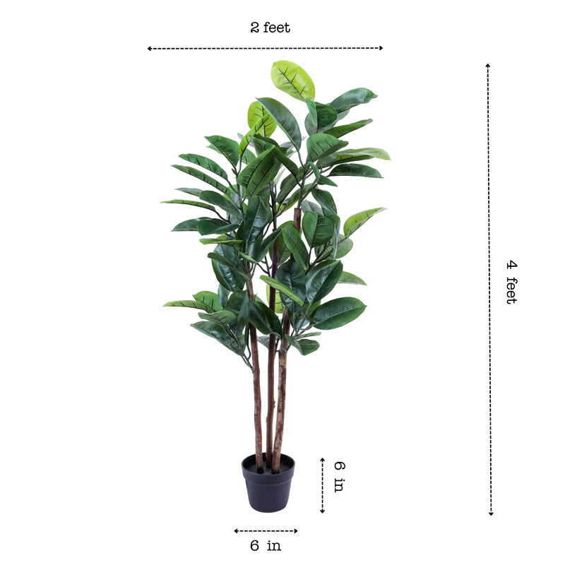 Buy Faux Realistic Rubber Tree With Pot - 3.9 Feet Artificial Plants from Vaaree