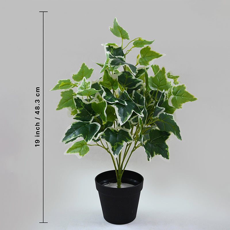 Buy Faux Everlasting English Ivy Plant With Pot - 48 Cms Artificial Plants from Vaaree