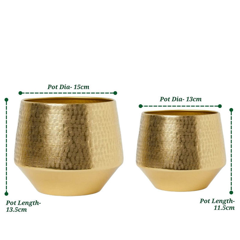 Buy Arrota Gold Planter - Set Of Two Pots & Planters from Vaaree