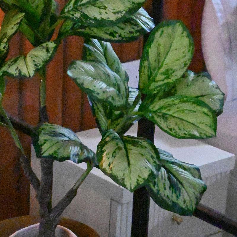 Buy Faux Everlasting Dieffenbachia Honeydew Plant With Pot - 3.2 Feet Artificial Plants from Vaaree