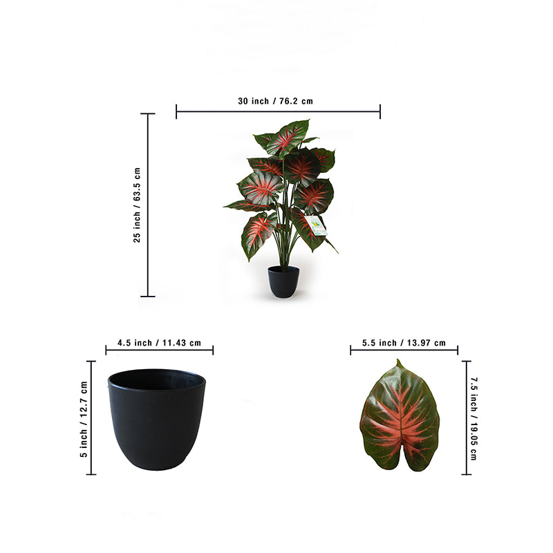 Buy Faux Everlasting Calathea Orbifolia Plant With Pot - 2.5 Feet Artificial Plants from Vaaree