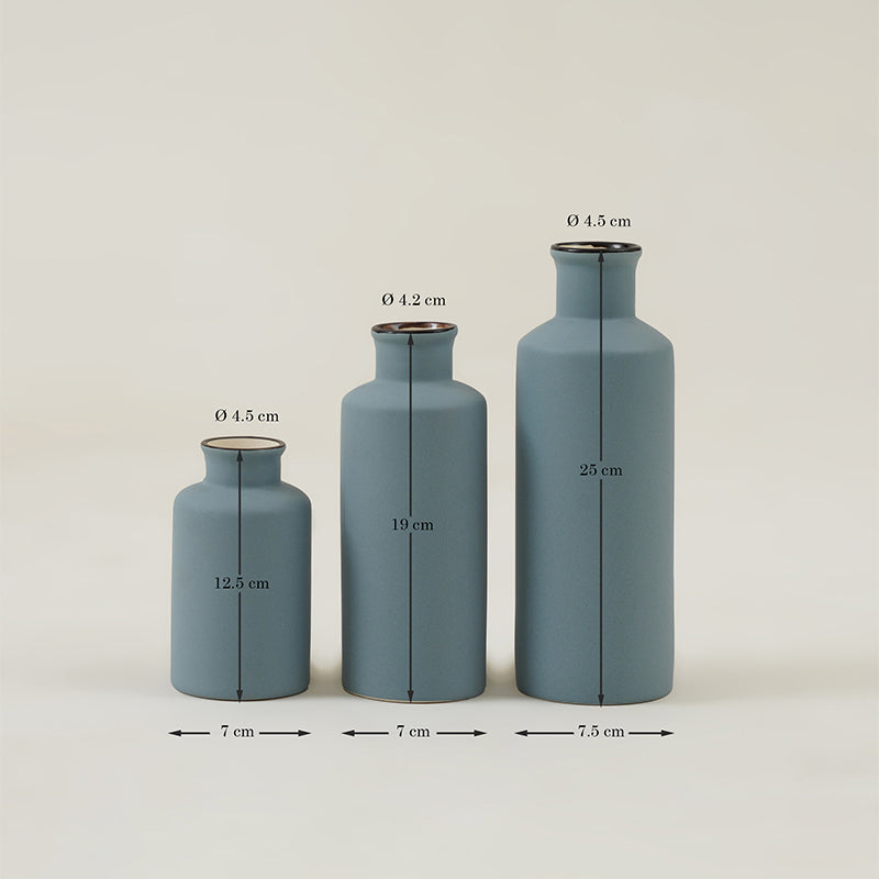 Buy Alnira Bottle Vase (Blue) - Set Of Three Vase from Vaaree