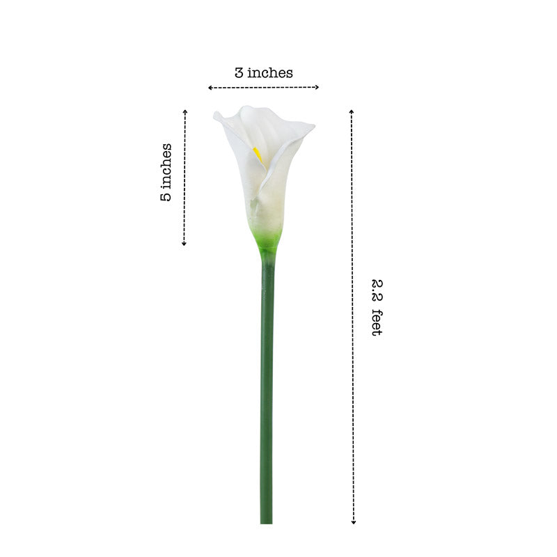 Buy Faux Realistic Calla Lily Flower Stick (White) - Set Of Five Artificial Flowers from Vaaree