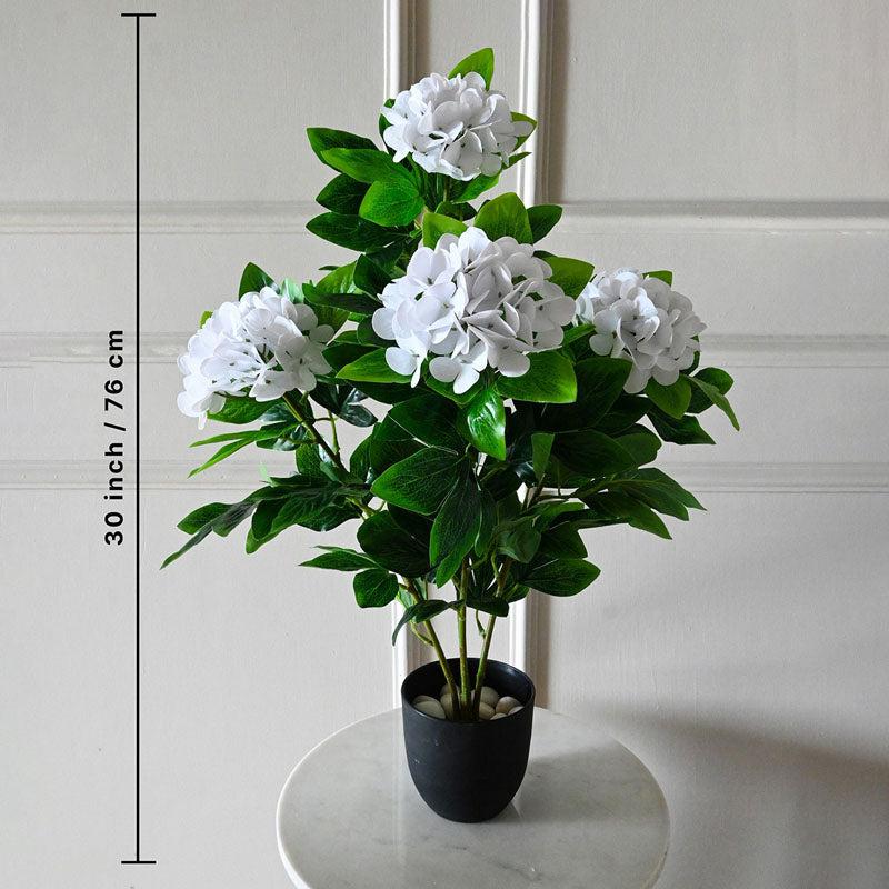 Buy Faux Everlasting Hydrangea Plant With Pot (Pale White) - 2.5 Feet Artificial Plants from Vaaree