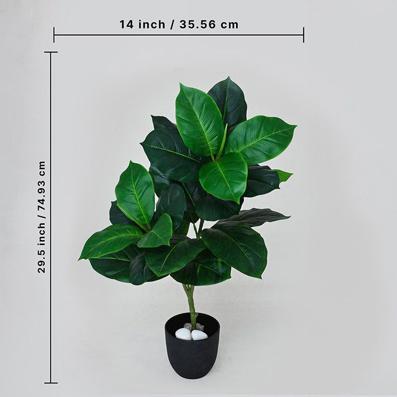 Buy Faux Everlasting Dieffenbachia Seguine Plant With Pot - 2.5 Feet Artificial Plants from Vaaree