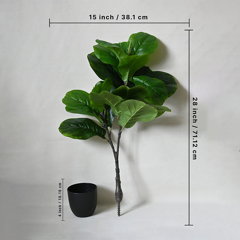 Buy Faux Everlasting Fiddle-Leaf Fig Plant With Pot - 2.4 Feet Artificial Plants from Vaaree